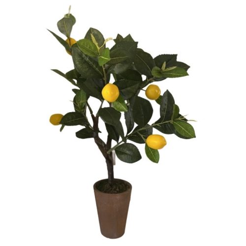 Műnövény citromfa, kaspóban