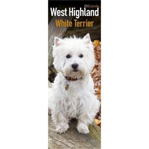 West highland terrier naptár 2022