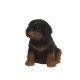 Rottweiler Figura műgyanta 11x9x11,5 kutya